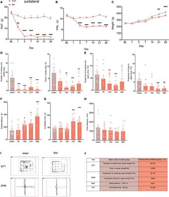 The cAMP Response Element- Binding Protein/Brain-Derived Neurotrophic Factor Pathway in Anterior Cingulate Cortex Regulates Neuropathic Pain and Anxiodepression Like Behaviors in Rats